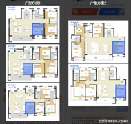 <b>让您用专业目光去买房</b>