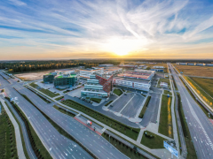 生毯的埃及泛洋雷楚纺织印染公司即是此中之一